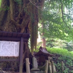 iPhone-080711-1828.jpg