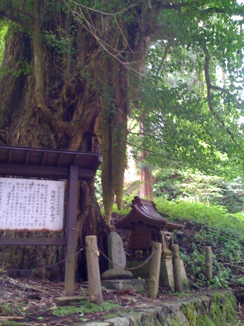 iPhone-080711-1828.jpg