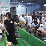 PAP_0028.JPG