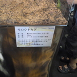 PAP_0040.JPG