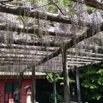 SN3Q0008.jpg