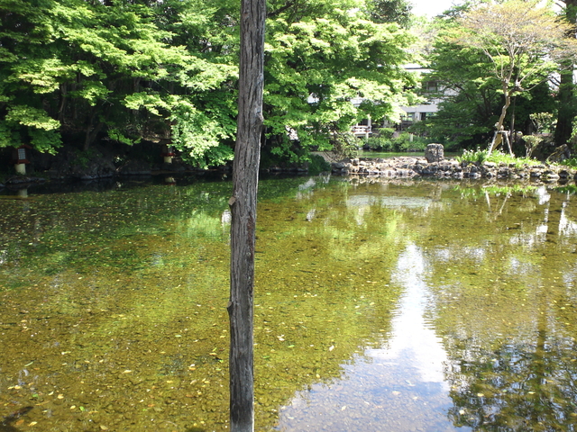 SN3Q0009.jpg