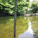 SN3Q0009.jpg
