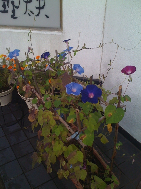 iPhone-090911-0757.jpg