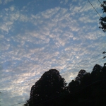 iPhone-090911-0759.jpg