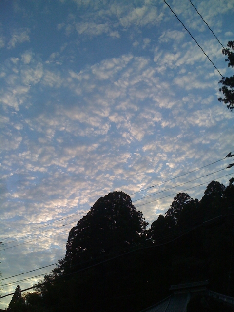 iPhone-090911-0759.jpg