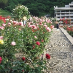 IMG_0461.jpg