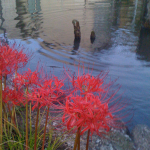 20111017-1613-iPhone.jpg