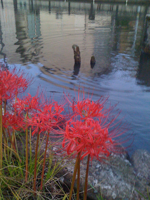 20111017-1613-iPhone.jpg