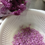 20111025-1833-iPhone.jpg