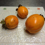 20111029-1009-iPhone.jpg