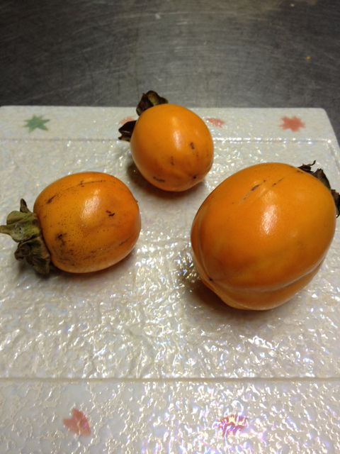 20111029-1009-iPhone.jpg