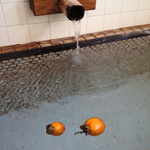 20111029-1009-iPhone_004.jpg