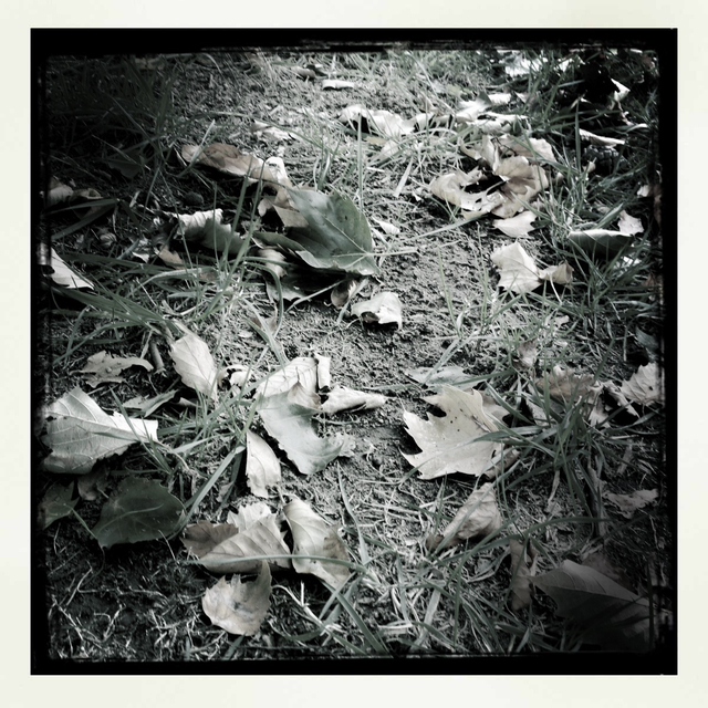 20111030-2000-iPhone_002.jpg