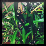 20111107-0035-iPhone_006.jpg