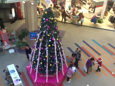 20111120-125625-iPhone.JPG