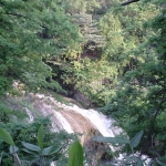 DSC02277.jpg