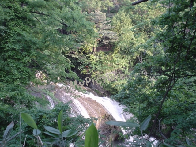 DSC02277.jpg