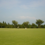 DSC02484.jpg