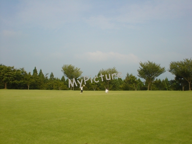 DSC02484.jpg
