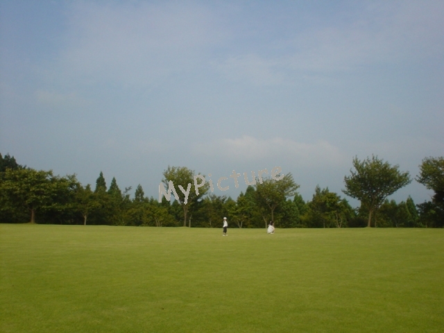 DSC02485.jpg