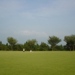 DSC02486.jpg