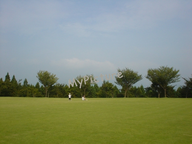 DSC02486.jpg