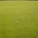 DSC02487.jpg