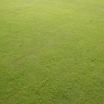 DSC02488.jpg
