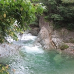 IMG_0758.jpg