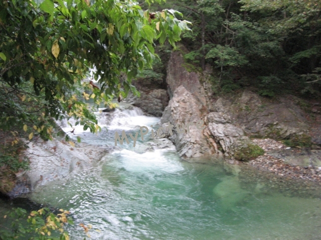 IMG_0758.jpg