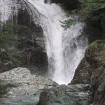 IMG_0761.jpg