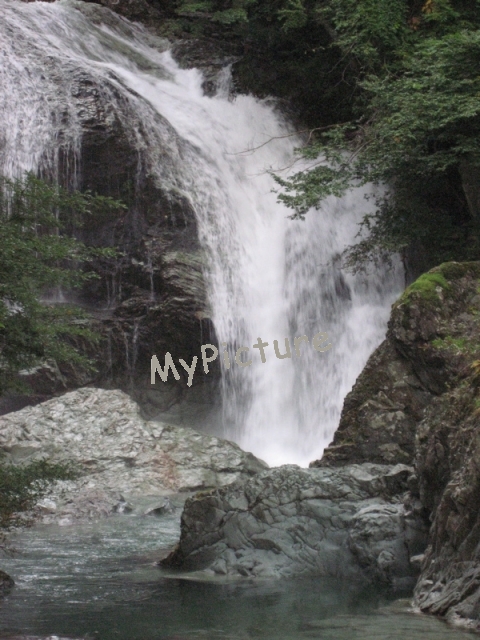 IMG_0761.jpg