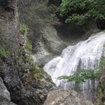 IMG_0779.jpg