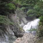 IMG_0780.jpg