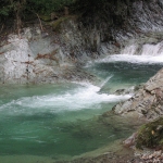 IMG_0781.jpg