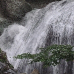 IMG_0782.jpg