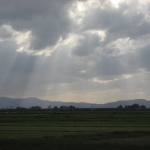IMG_0844.jpg