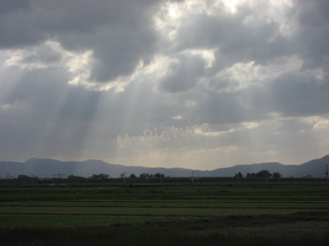 IMG_0844.jpg