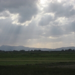 IMG_0845.jpg