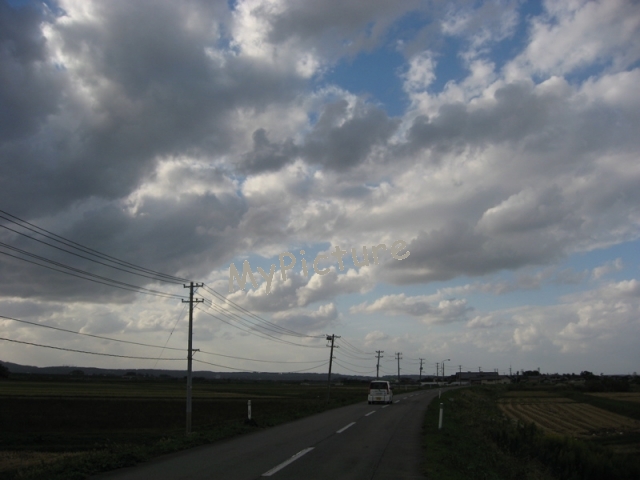 IMG_0846.jpg