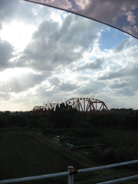 IMG_0847.jpg