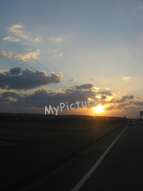 IMG_0854.jpg