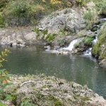 IMG_0977.jpg