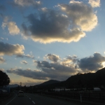 IMG_1684.jpg