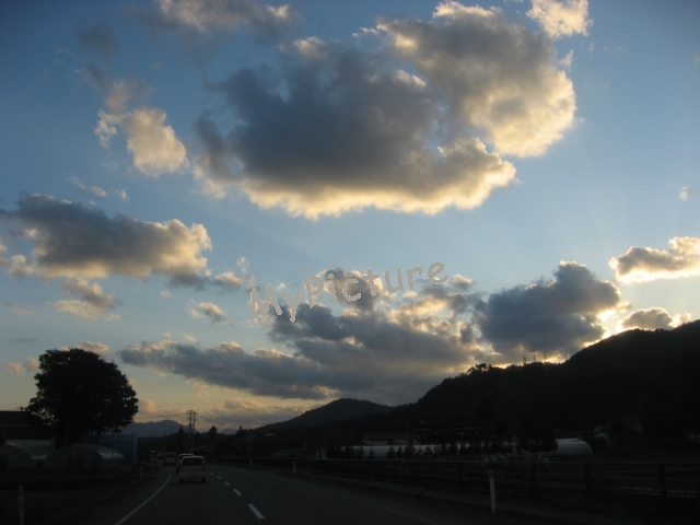 IMG_1684.jpg