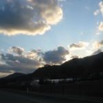IMG_1685.jpg