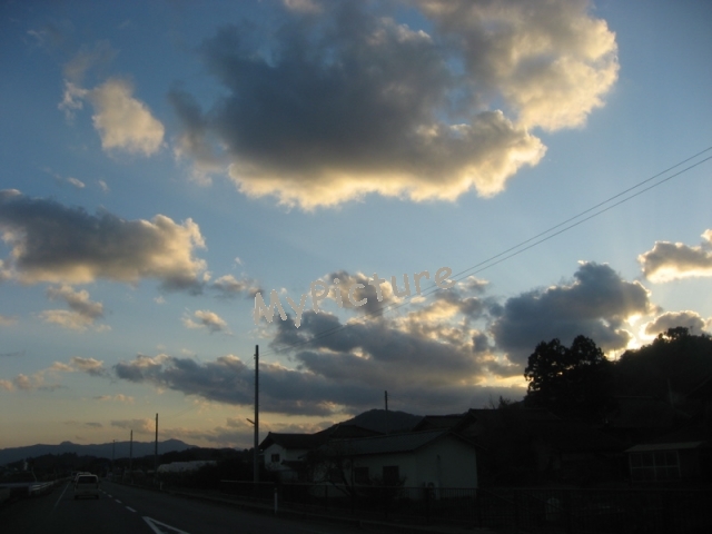 IMG_1687.jpg