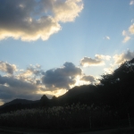 IMG_1690.jpg