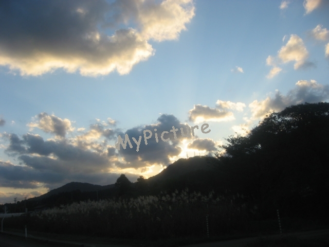 IMG_1690.jpg